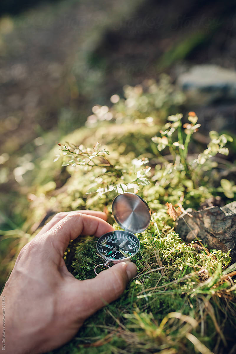 hand holding compass into the forest over the moss