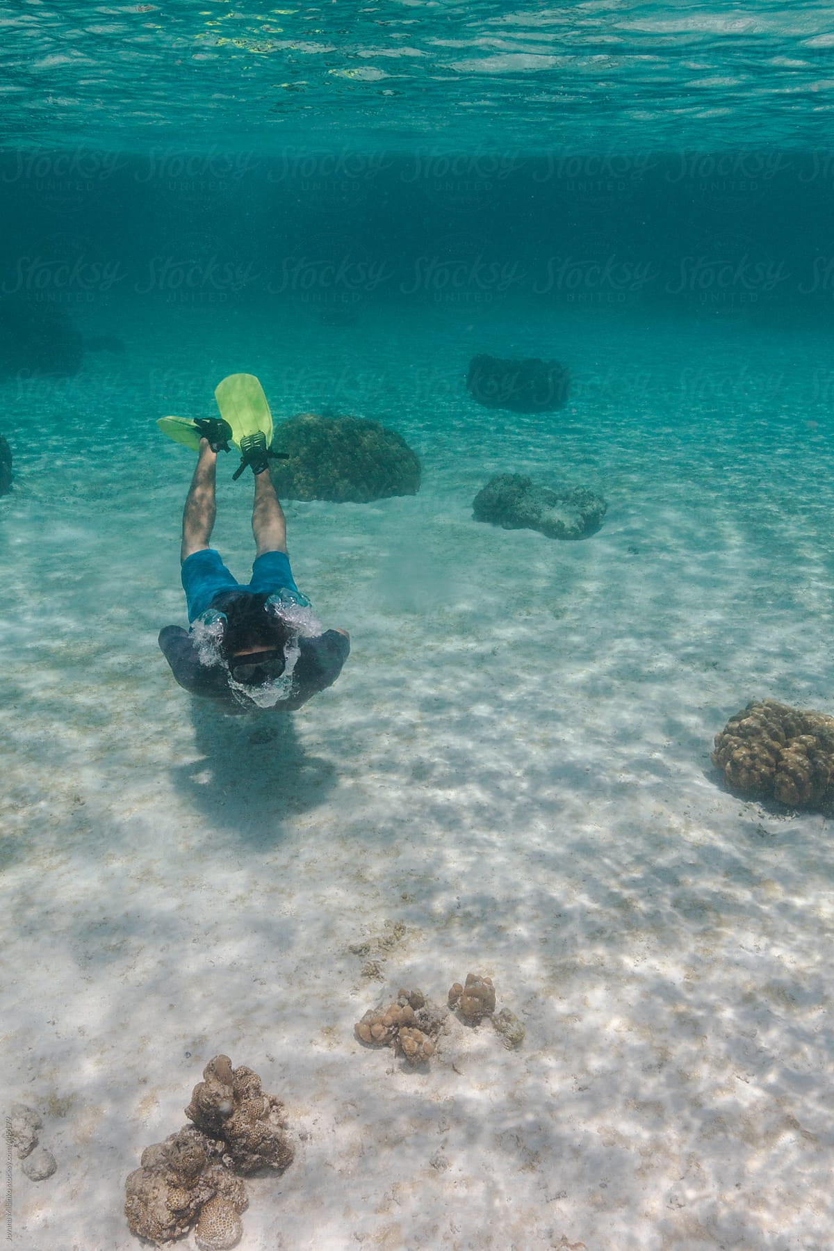 Man Diving Underwater In Crystal Clear Tropical Sea Del Colaborador