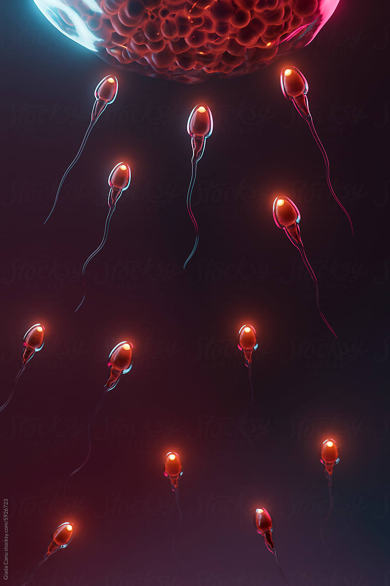 3D Render of Multiple Sperm Cells Converging on Egg