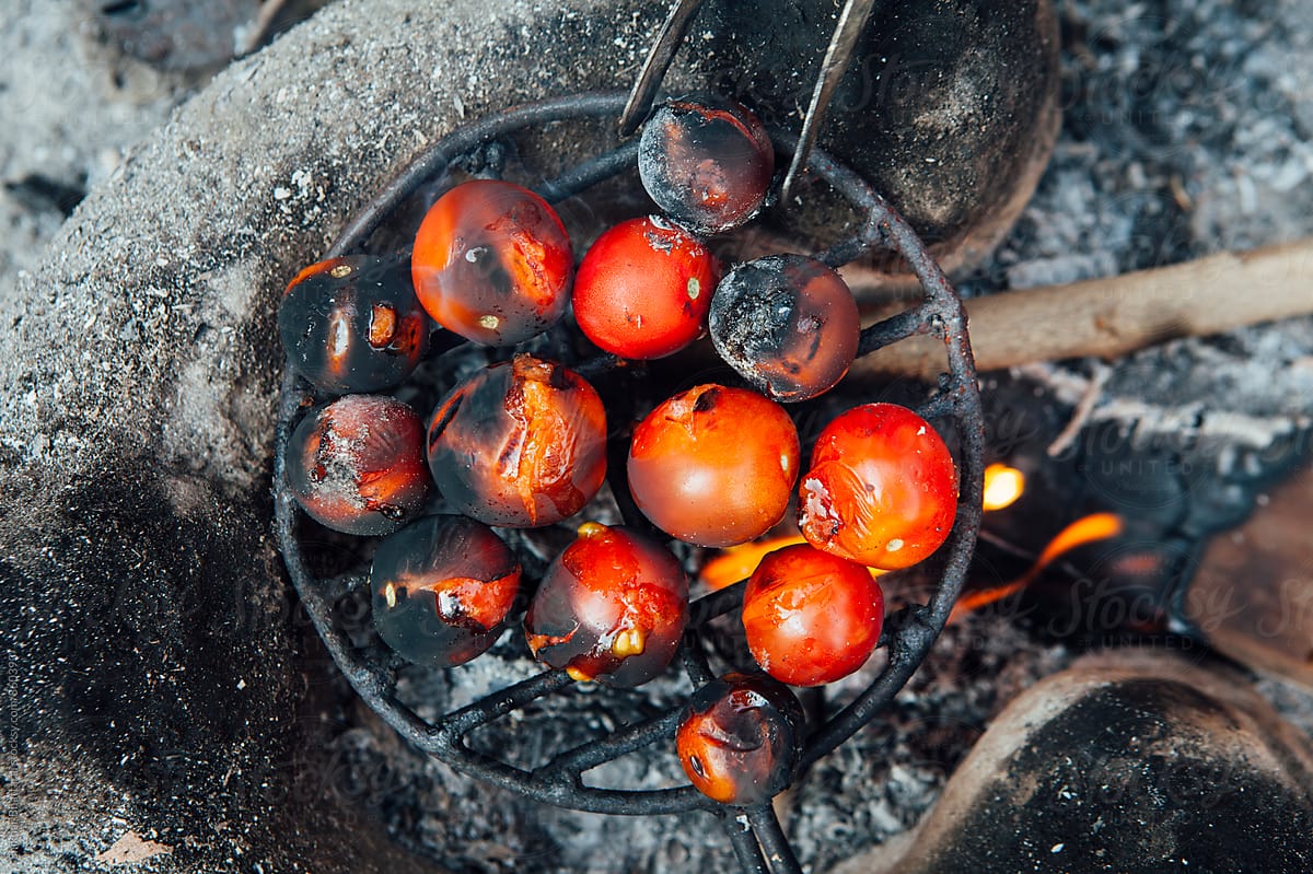 Small ripe tomatoes being cooked over a wooden fire on a grill.