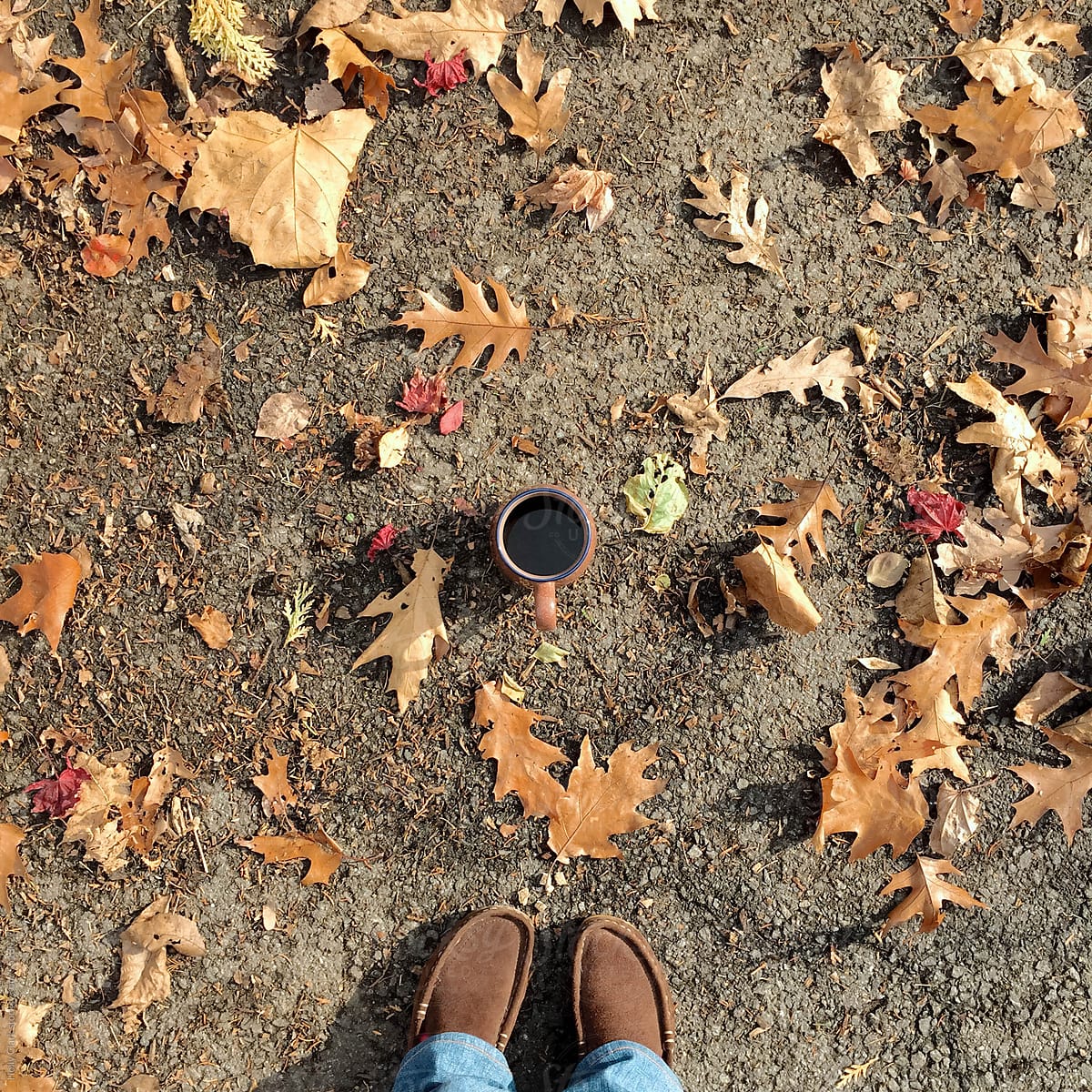 «a Cup Of Black Coffee Sits Amonst Autumn Leaves Del Colaborador De