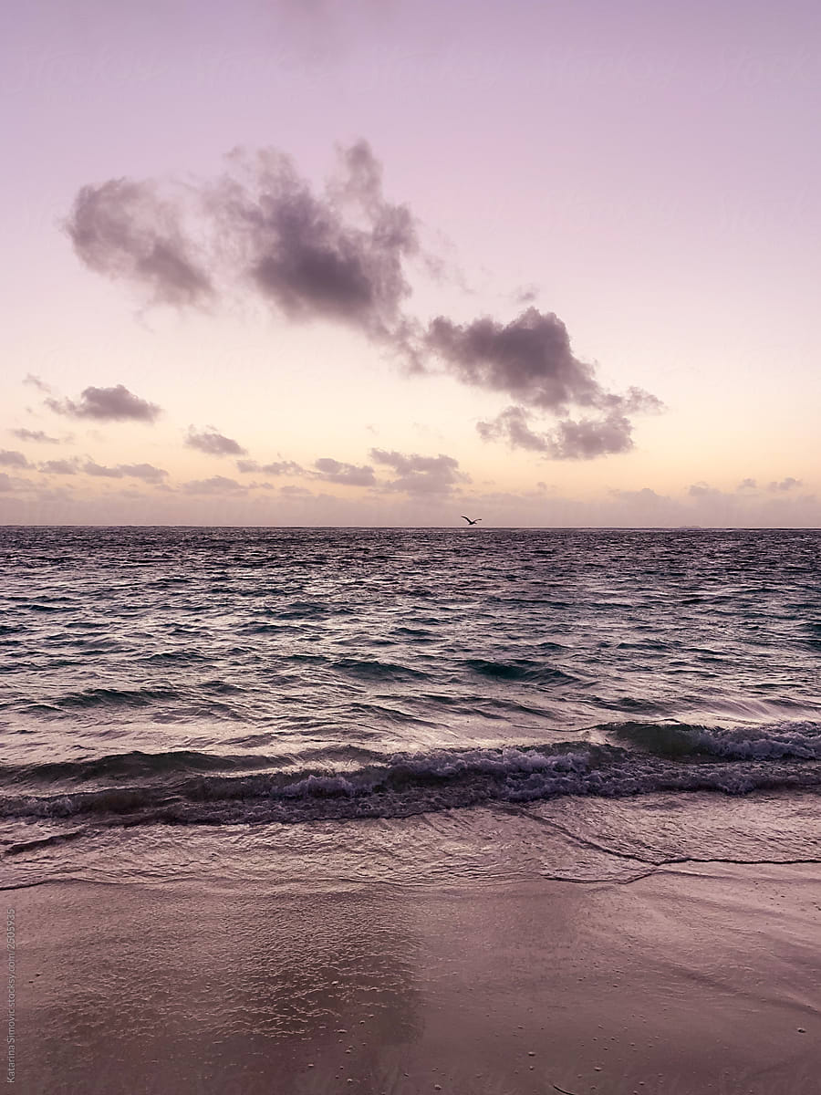 Sunset on ocean with purple sky
