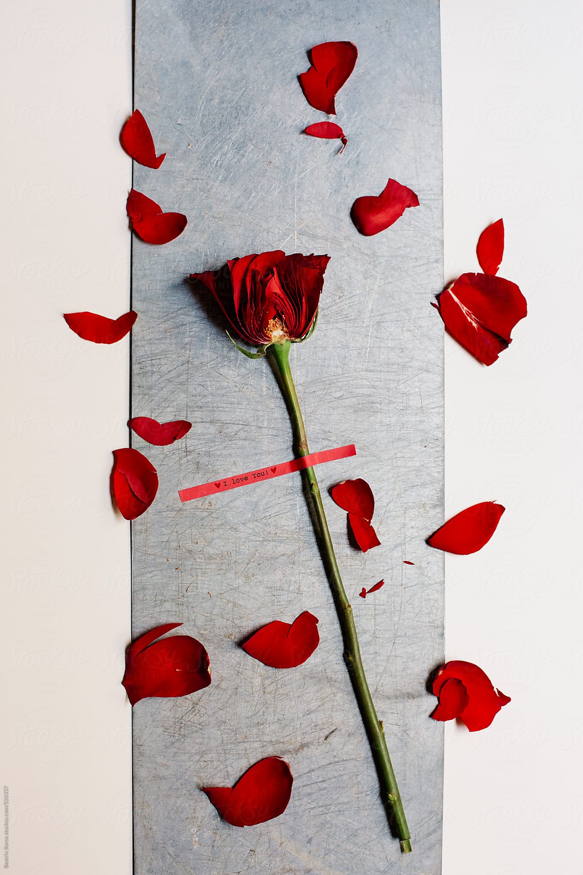 Rose cut in half on a metal surface with a love message