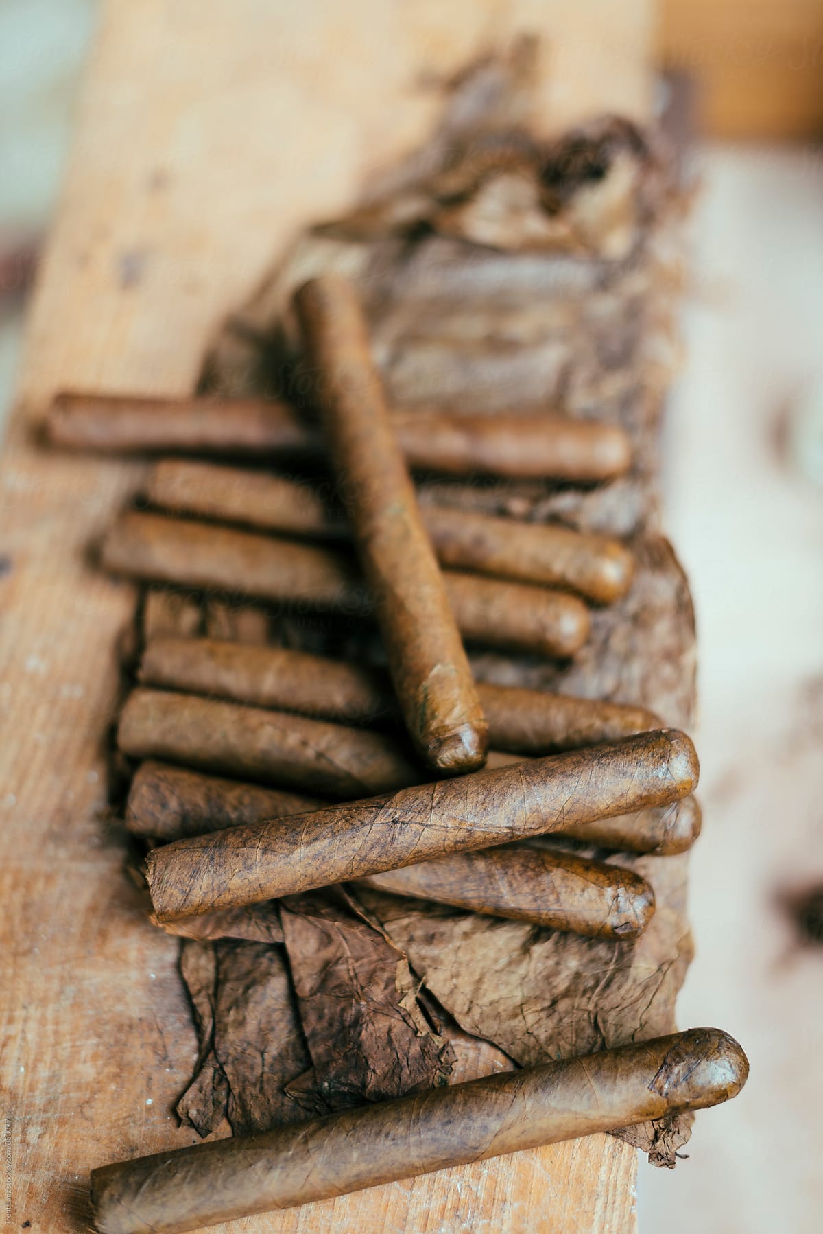 Close-up of pile of cuban cigars on tobacco leaf