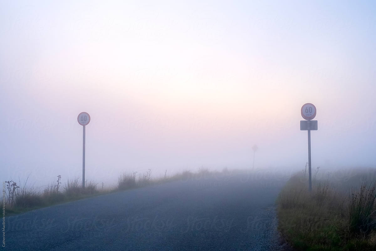 Road Signs on Foggy Mountain Road, Dublin Mountains.