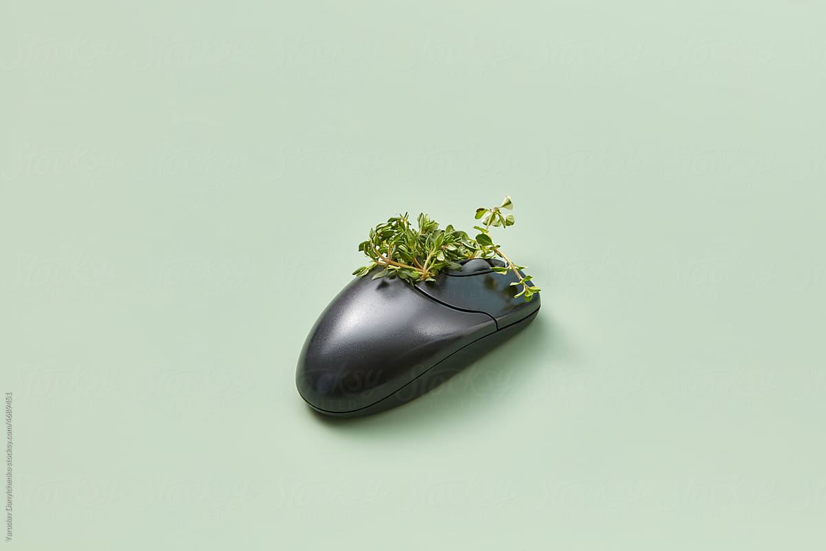 Computer mouse with growing plant