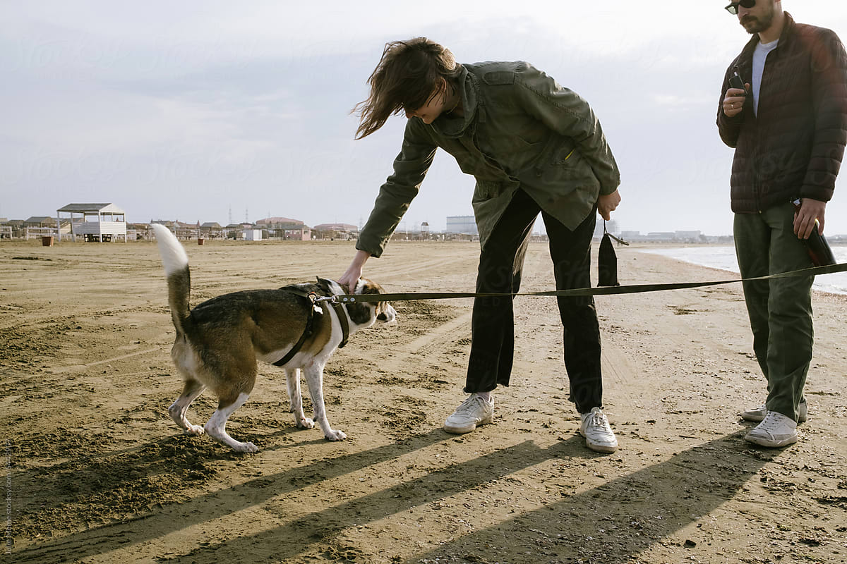 Woman Bending Down to Pet a Dog on a Leash walking on a beach