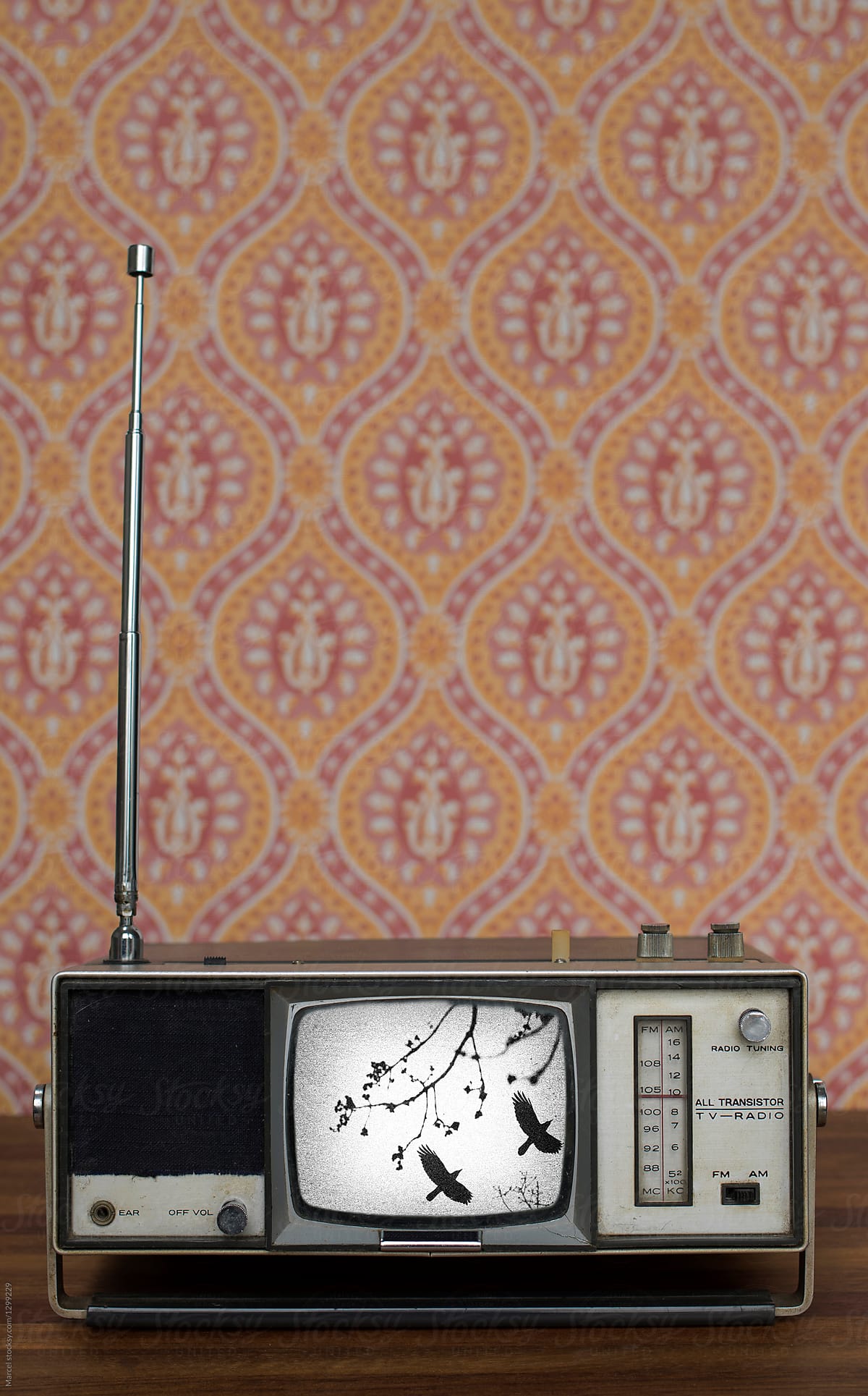 The birds on a portable vintage tv
