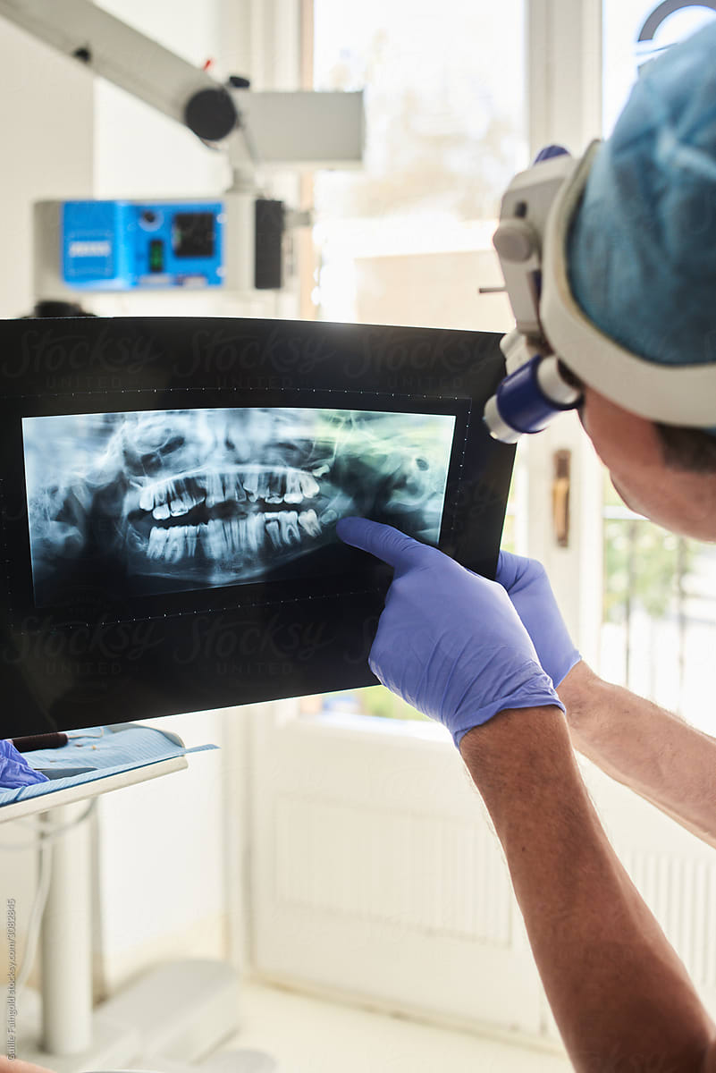 Dentist examining X ray scan of teeth