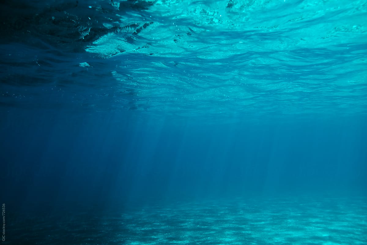 Clear underwater sea background by simon - Water, Sea ...