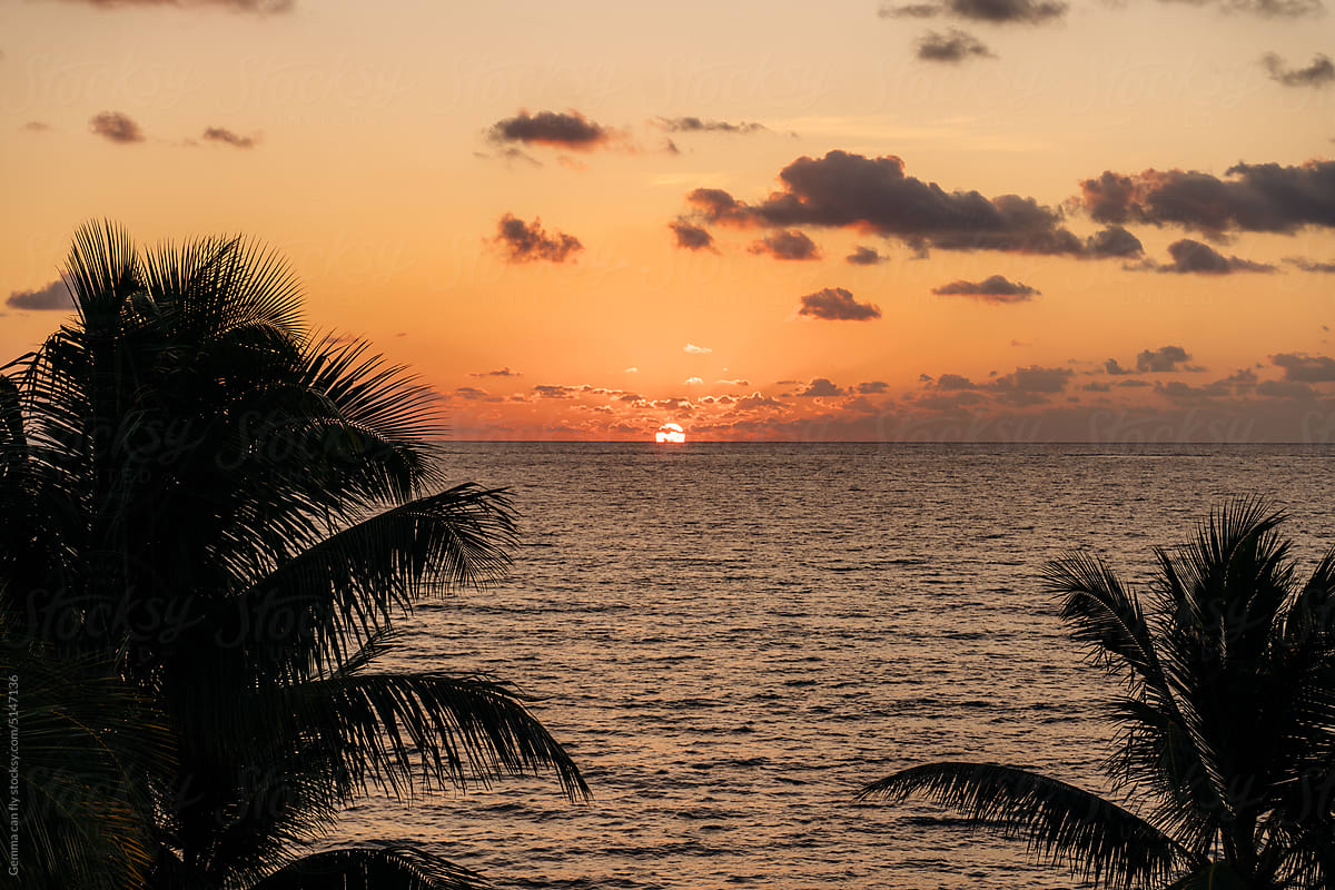 Sunrise in the caribbean sea with palm trees