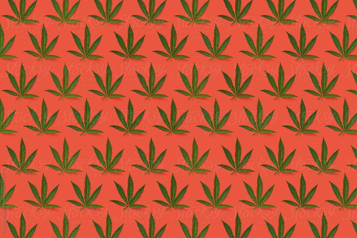 Pattern from green cannabis herb.