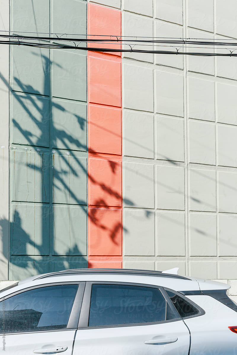 A white vehicle and the shadow of a telephone pole cast on the wall.