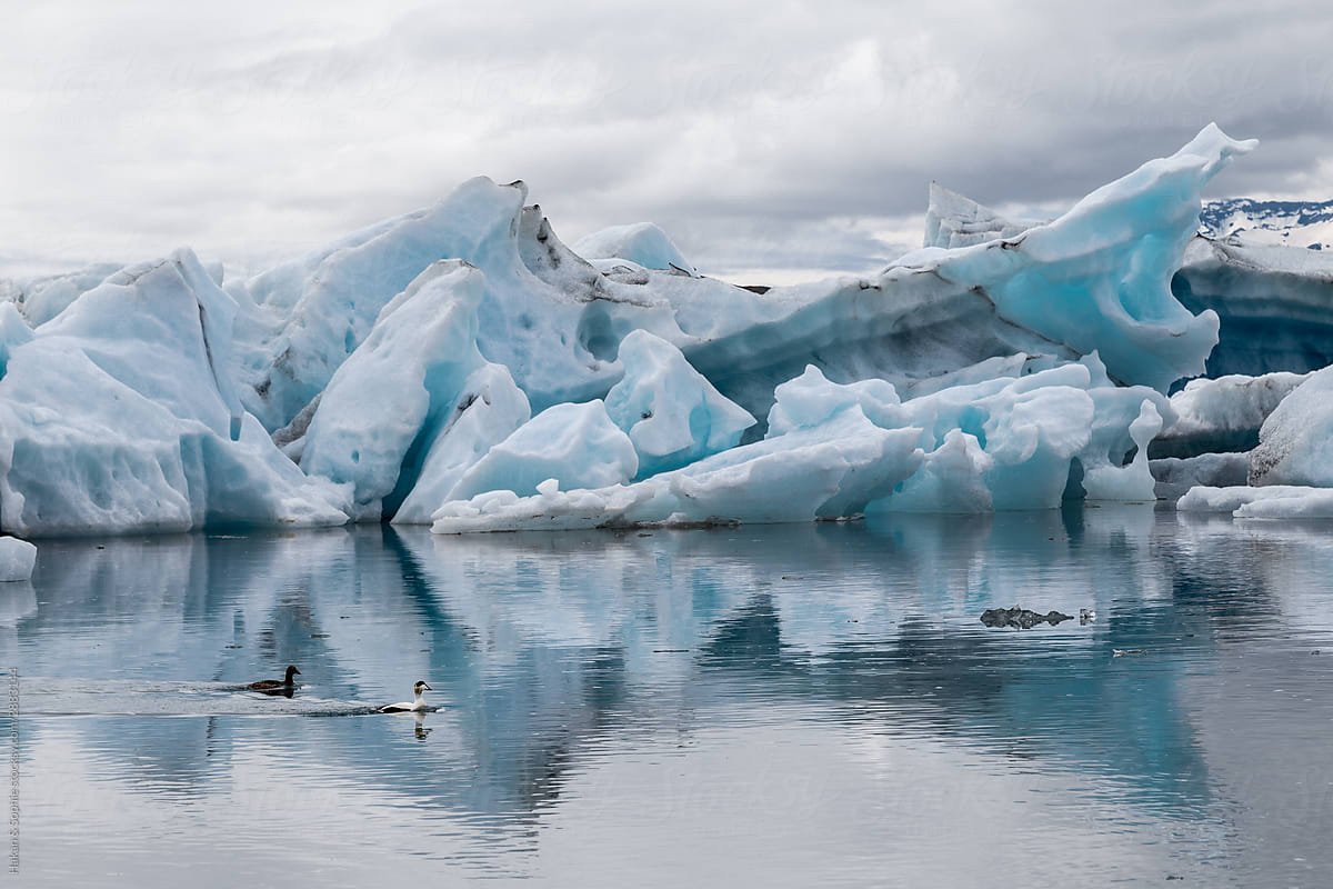 Icebergs flatting on jokulsarlon, iceland