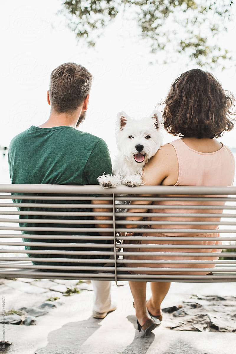 Couple sitting on the bench with the dog