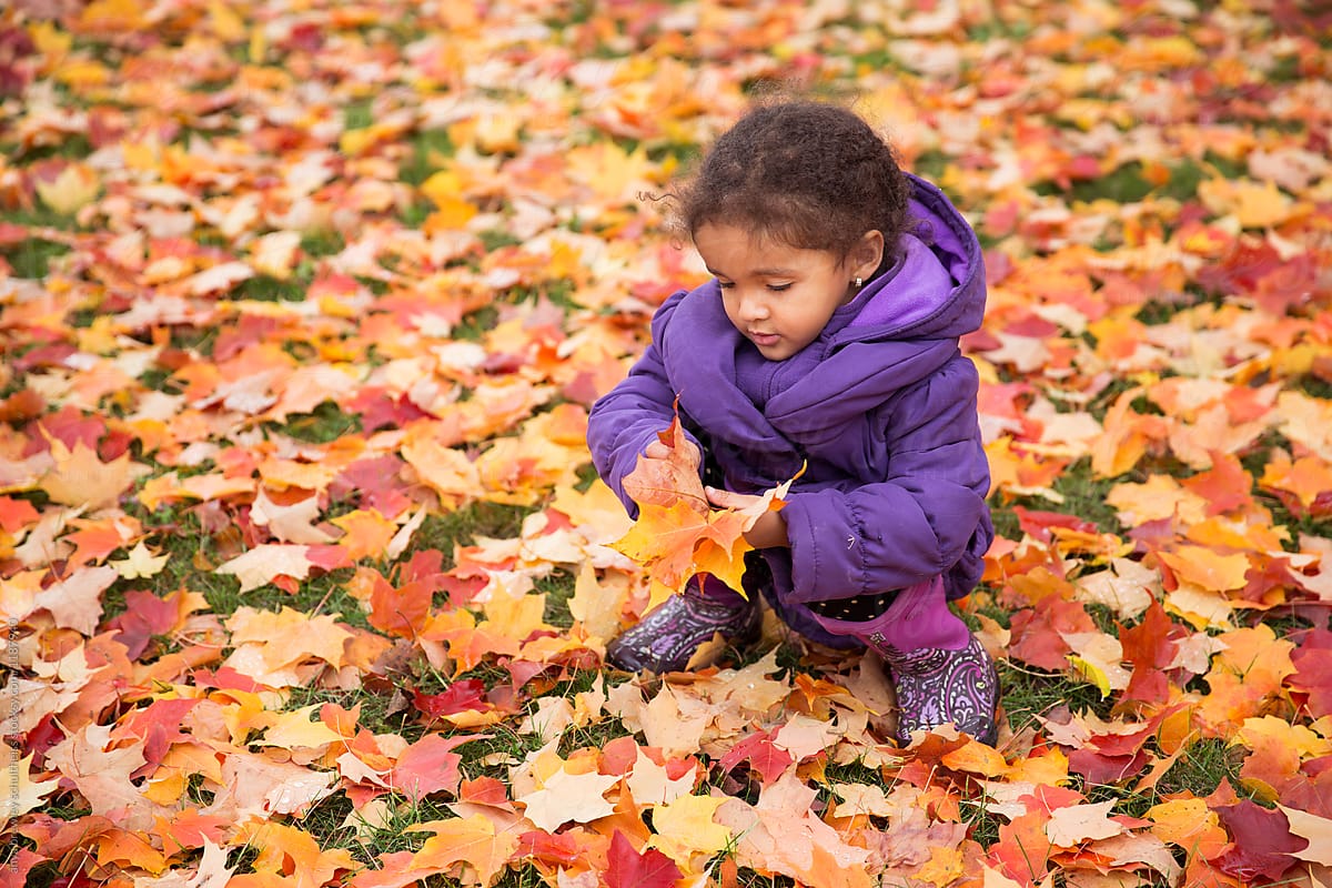 A young child playing in a sea of autumn leaves