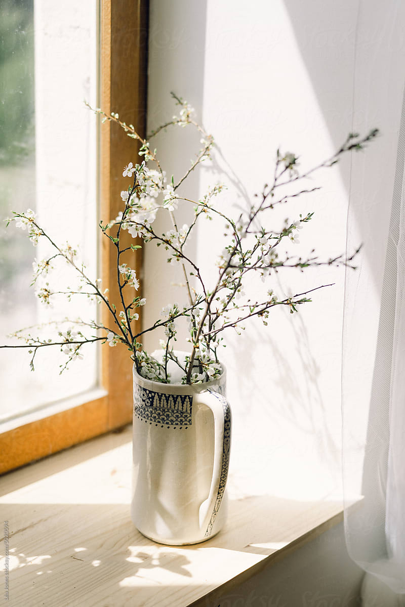 blossoms in jar window sill