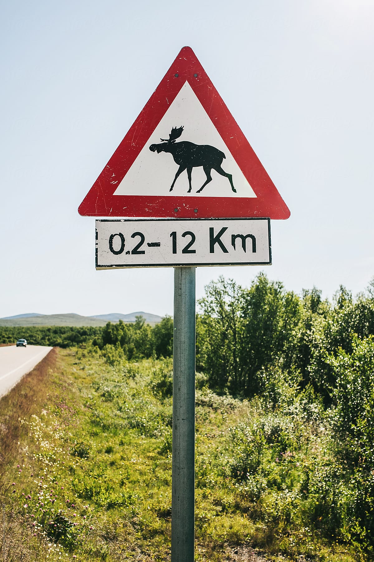 Moose warning sign in Norway, Scandinavia