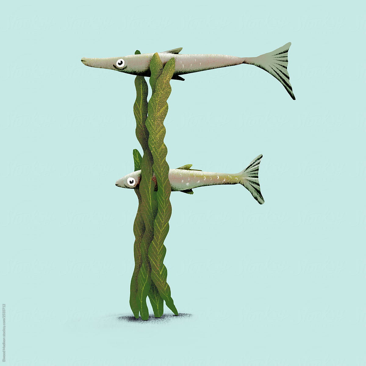 Fish in the seaweed - F