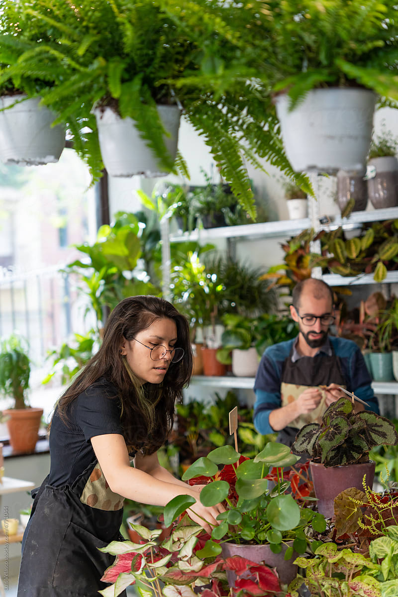 Colleagues Working Together In A Plants Shop.