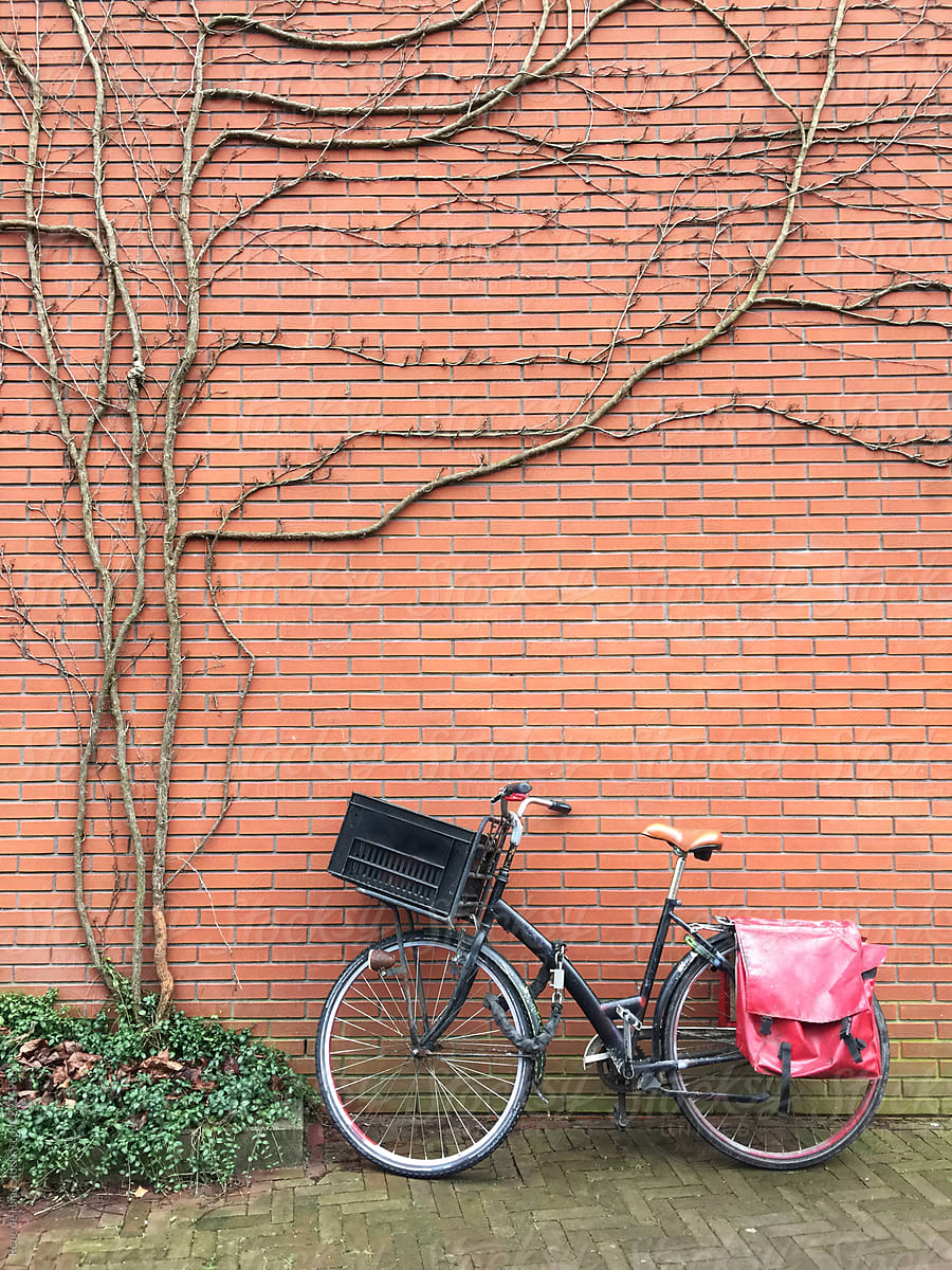 bicycle parked against brick wall