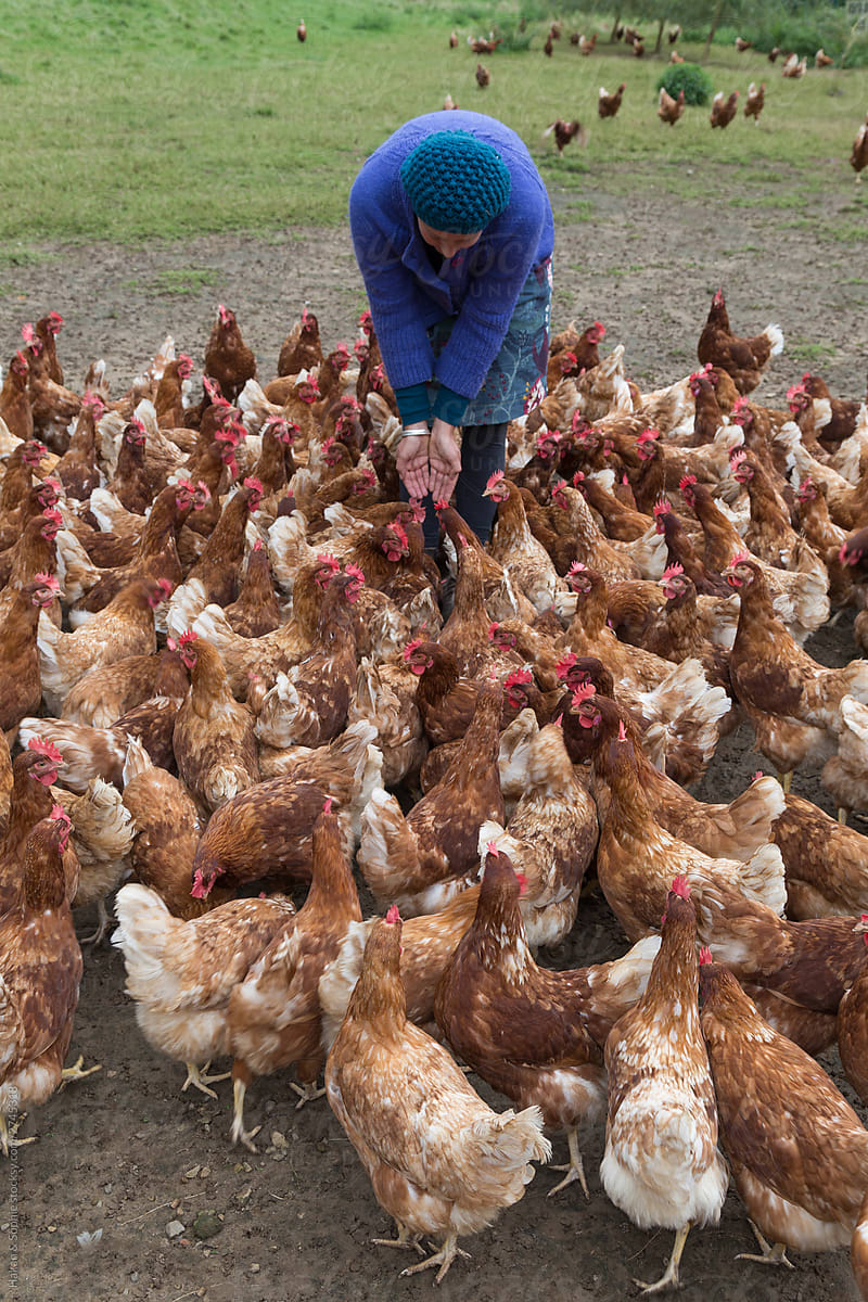 Woman surrounded by chickens