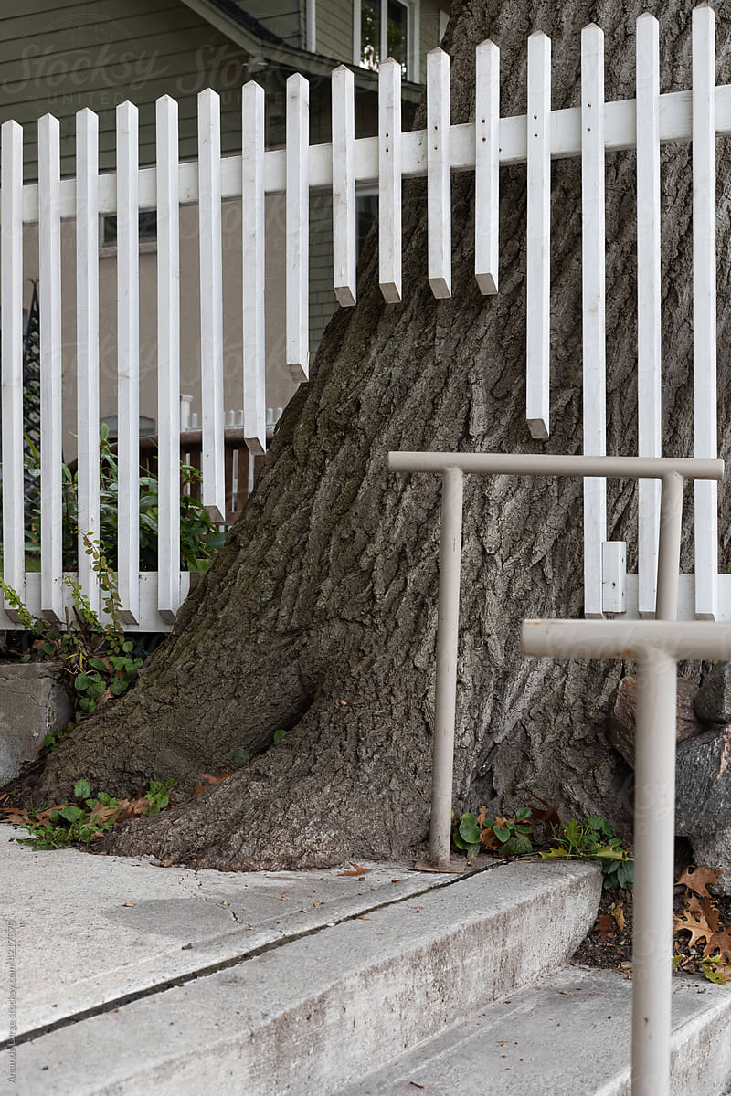a white picket fence is built around a big tree