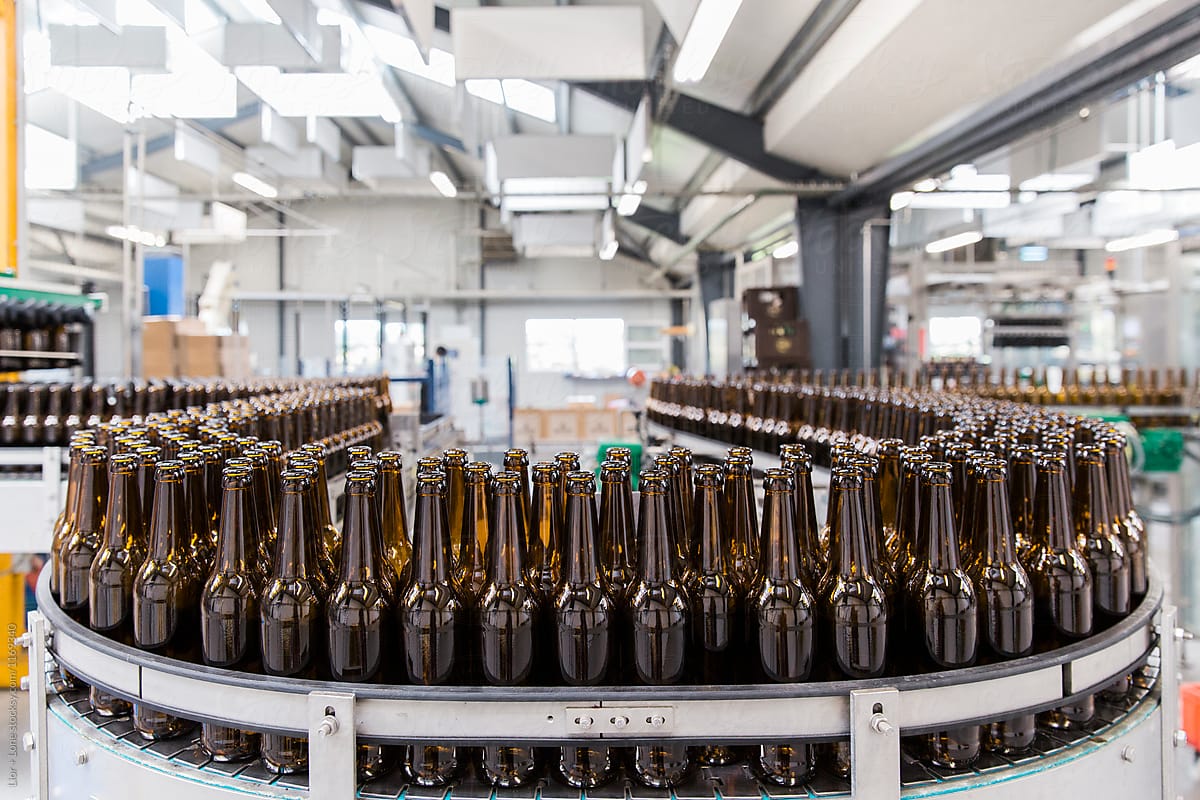 Empty beer bottles on factory automatic assembly line