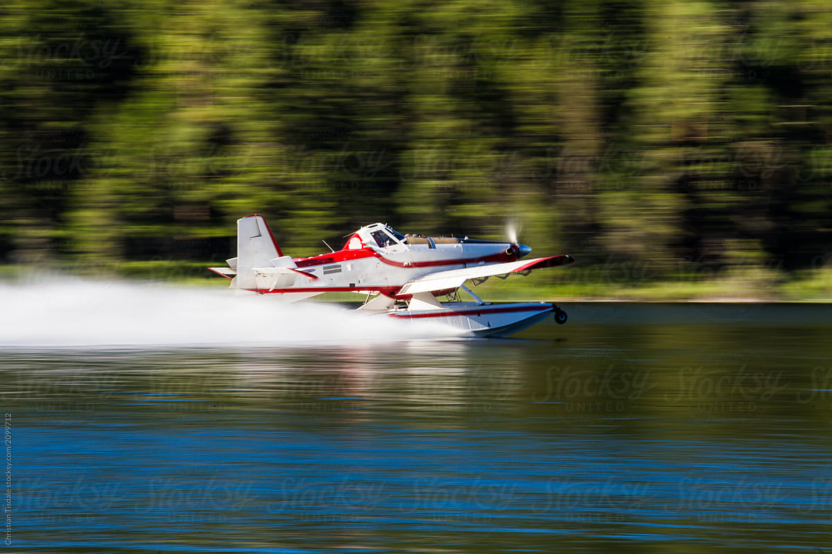 A forest fire fighting floatplane skimming on the surface of a lake to fill it\'s tanks