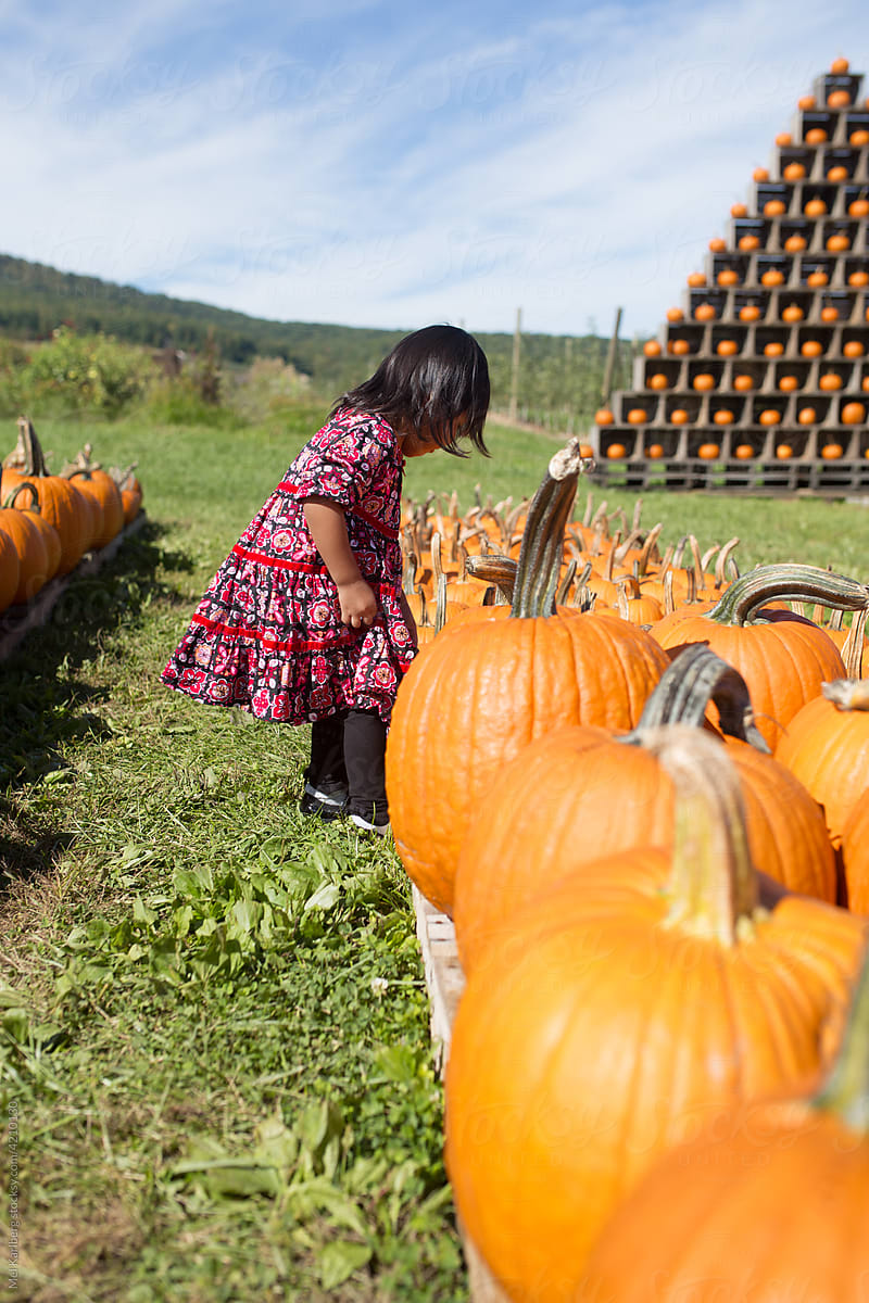 Girl at pumpkin patch