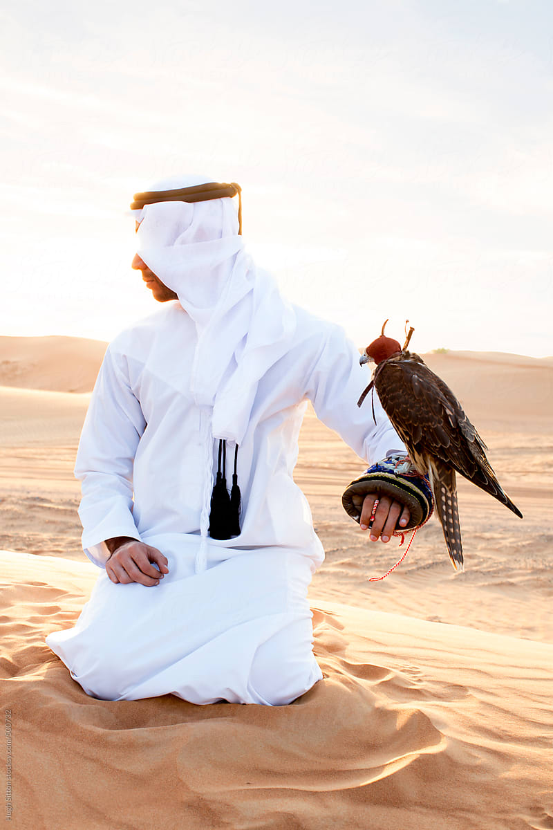 Arabian man with falcon, in the desert of Dubai. United Arab Emirates.
