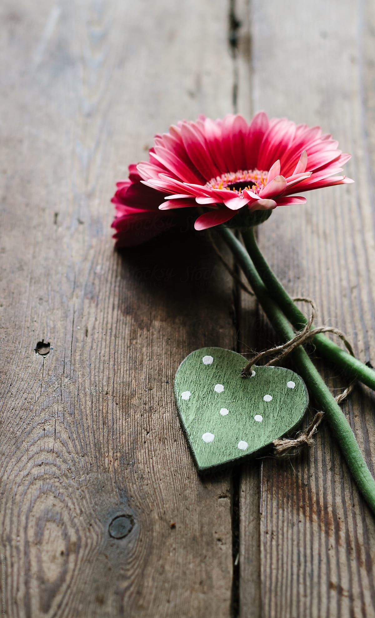 Pink Gerberas and a Green spotted wooden heart.