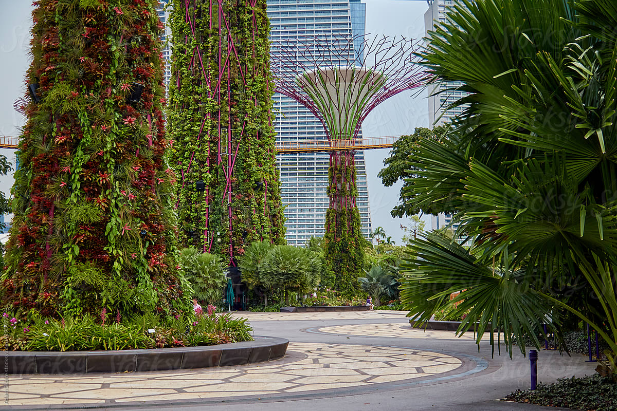 Singapore Sky Garden, Marina Bay - plants in green wall
