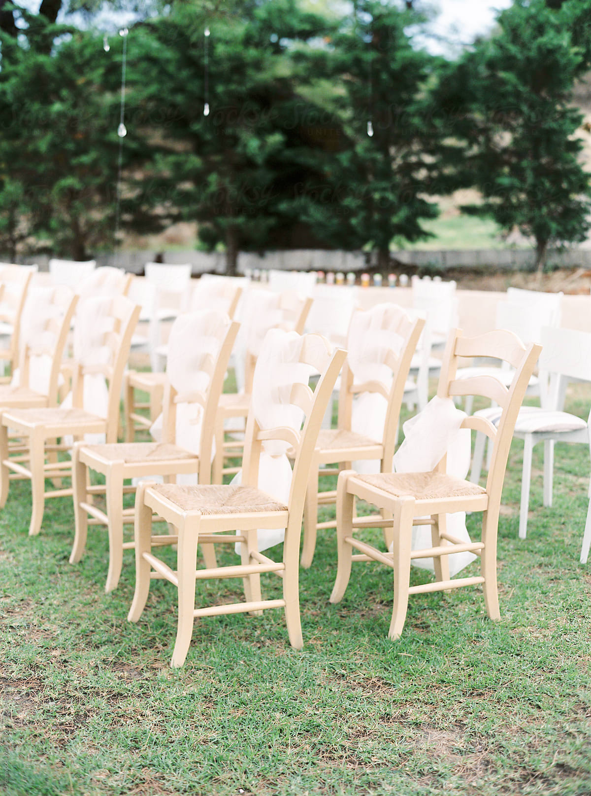 Rows of chairs for wedding in garden
