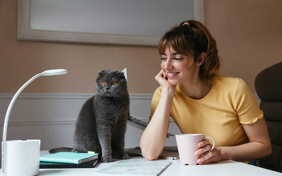 Merry female student admiring cat