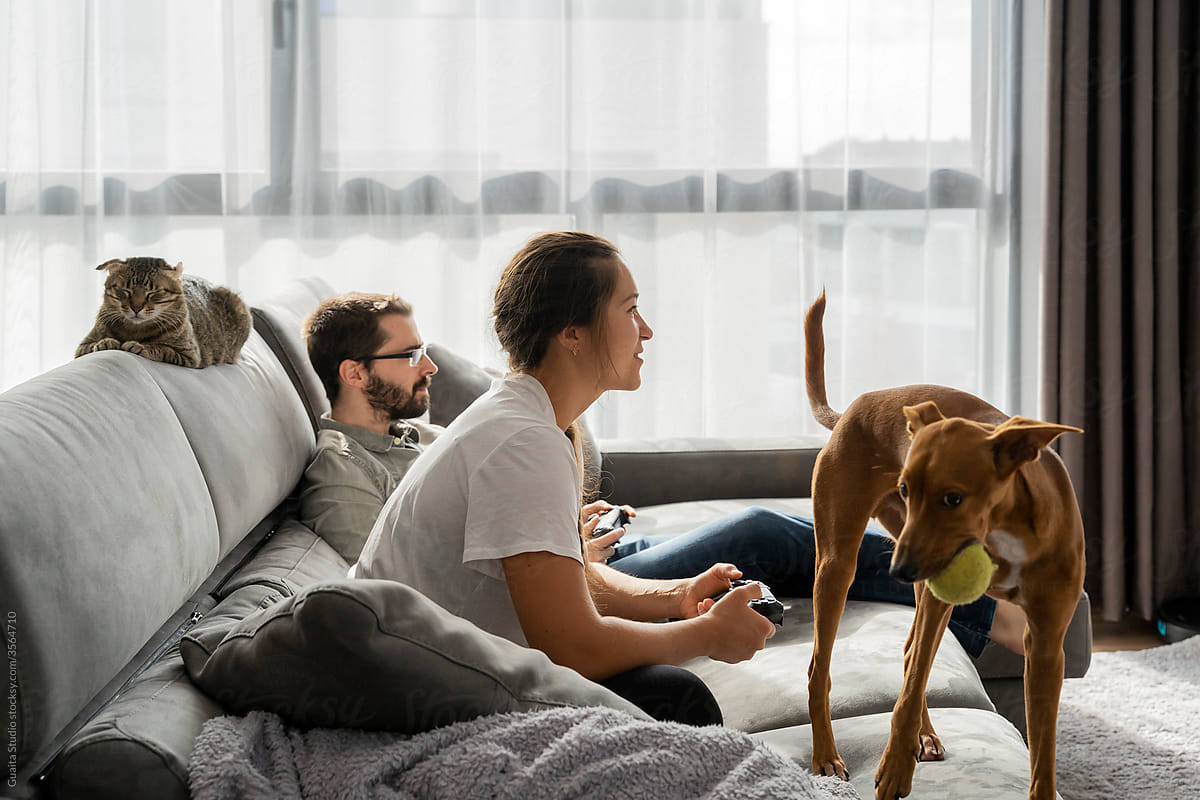 Happy couple playing videogames in living room
