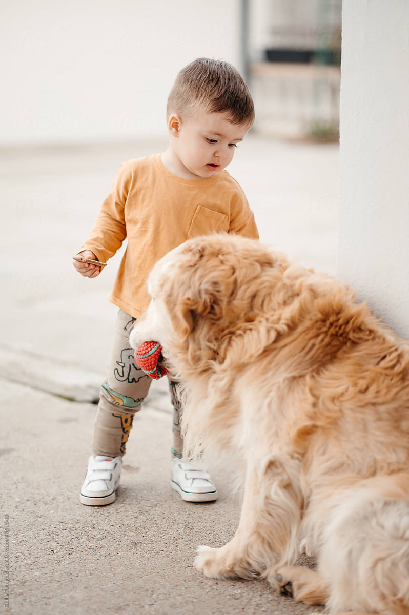 Toddler with a dog.