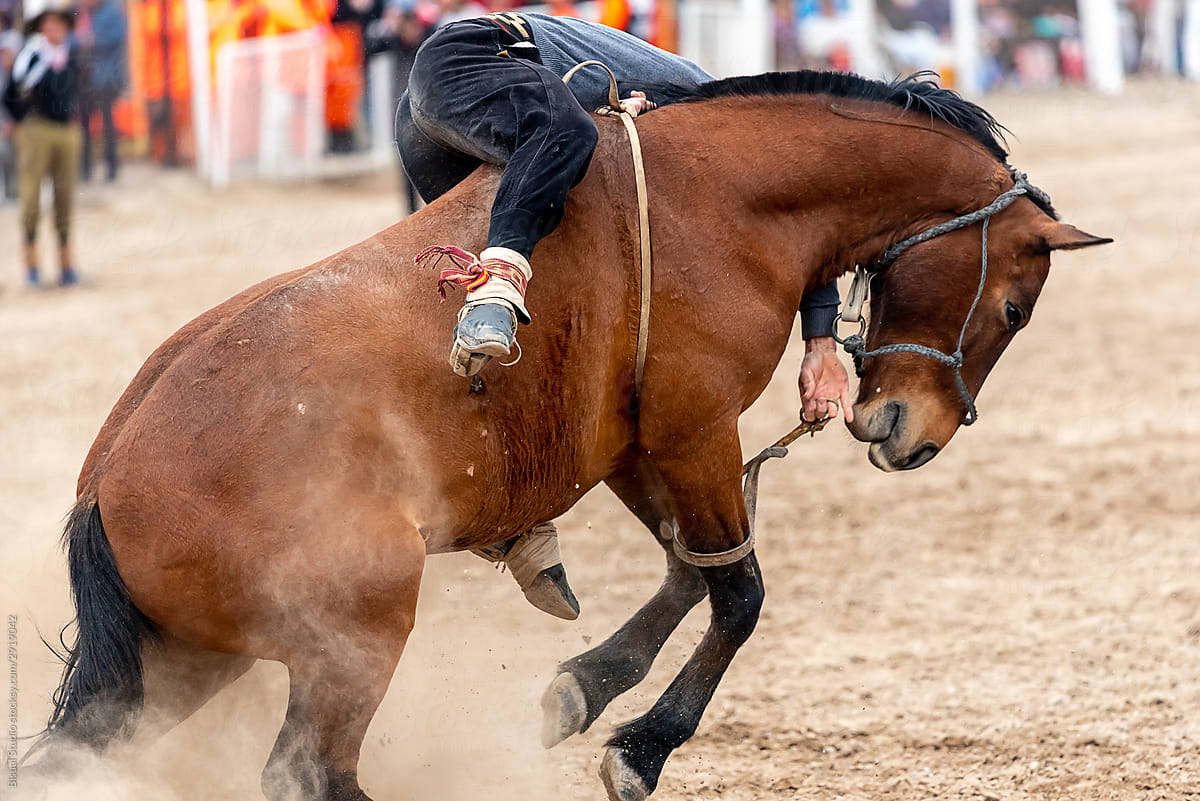 Bucking horse in a gaucho Rodeo