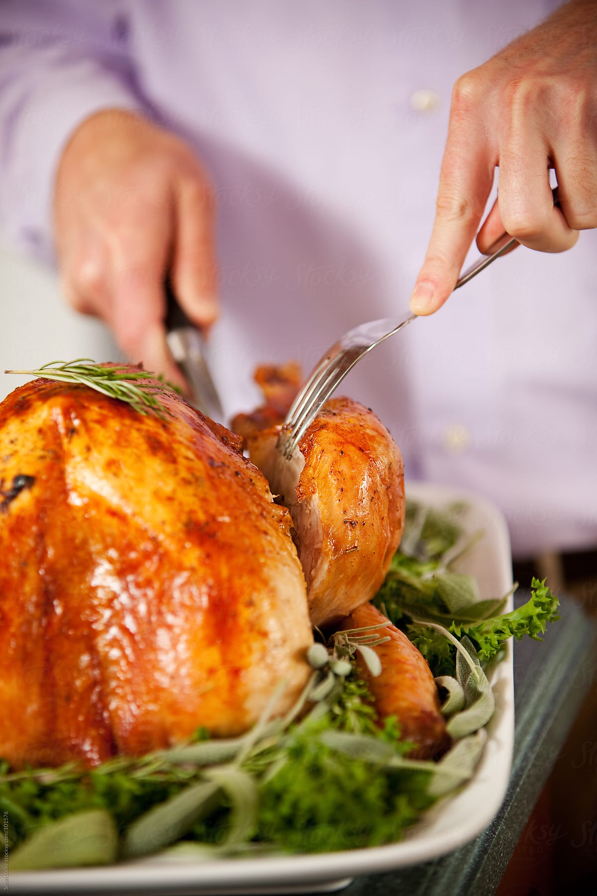 Thanksgiving: Man Carving the Thanksgiving Turkey
