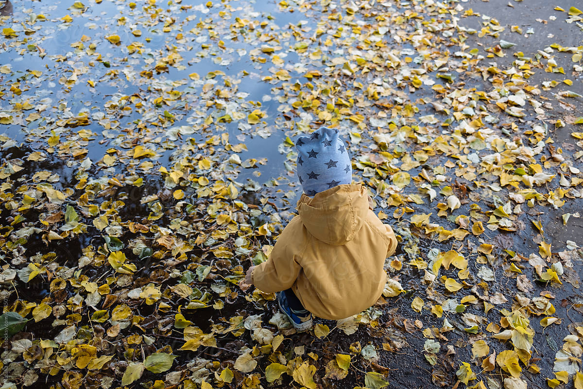 A little boy is squatting on the wet asphalt in autumn.