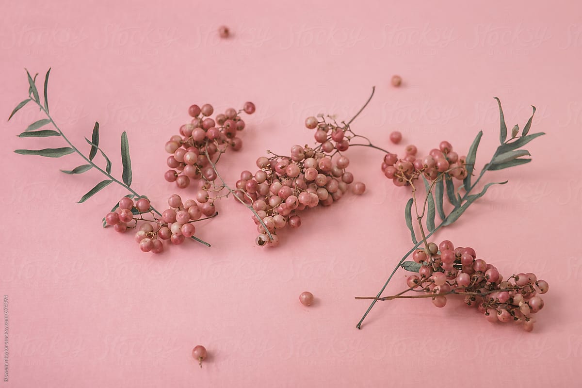 PInk Peppercorns on pink background