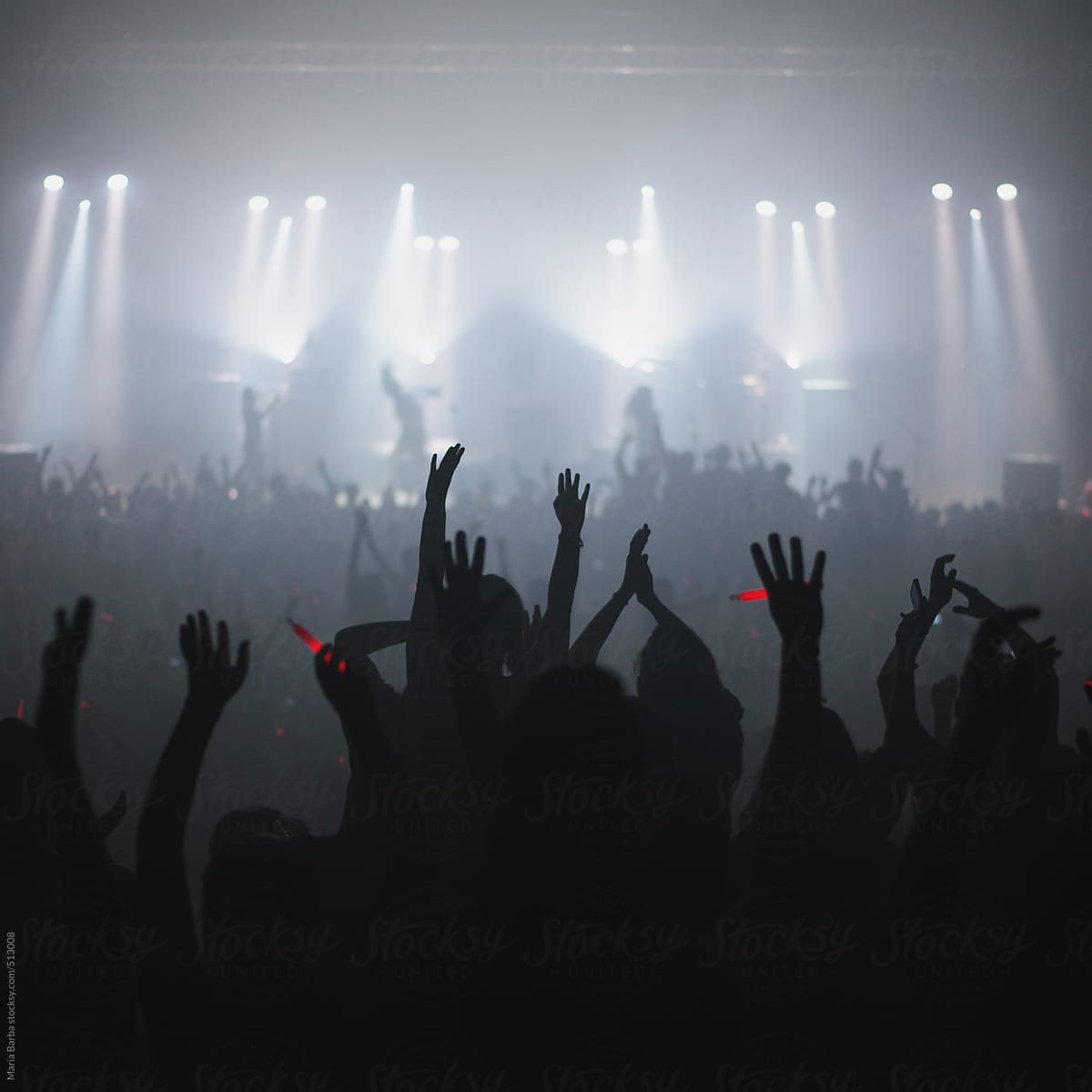 Audience\'s silhoutte