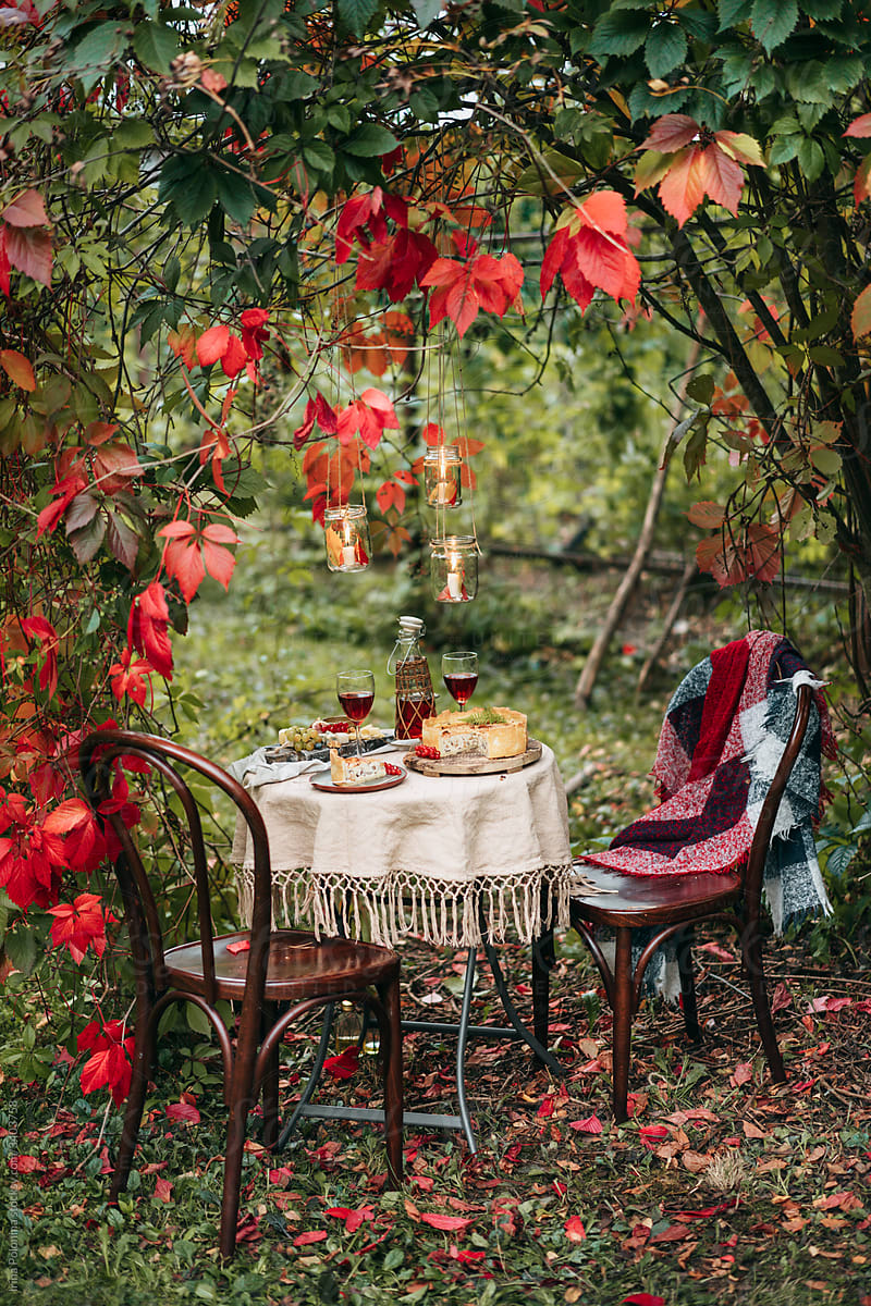 Beautifil autumn dining table outdoor.
