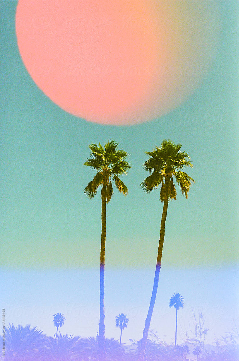Pink moon and palm trees