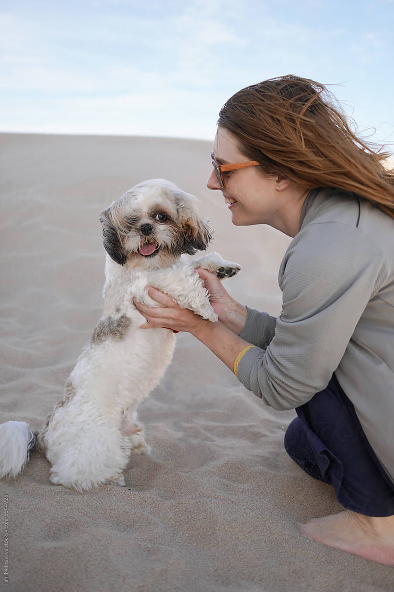 A woman cuddles a shih tzu dog in the sand