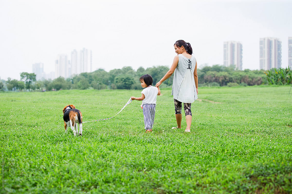 little asian girl with her dog outdoor in the meadow