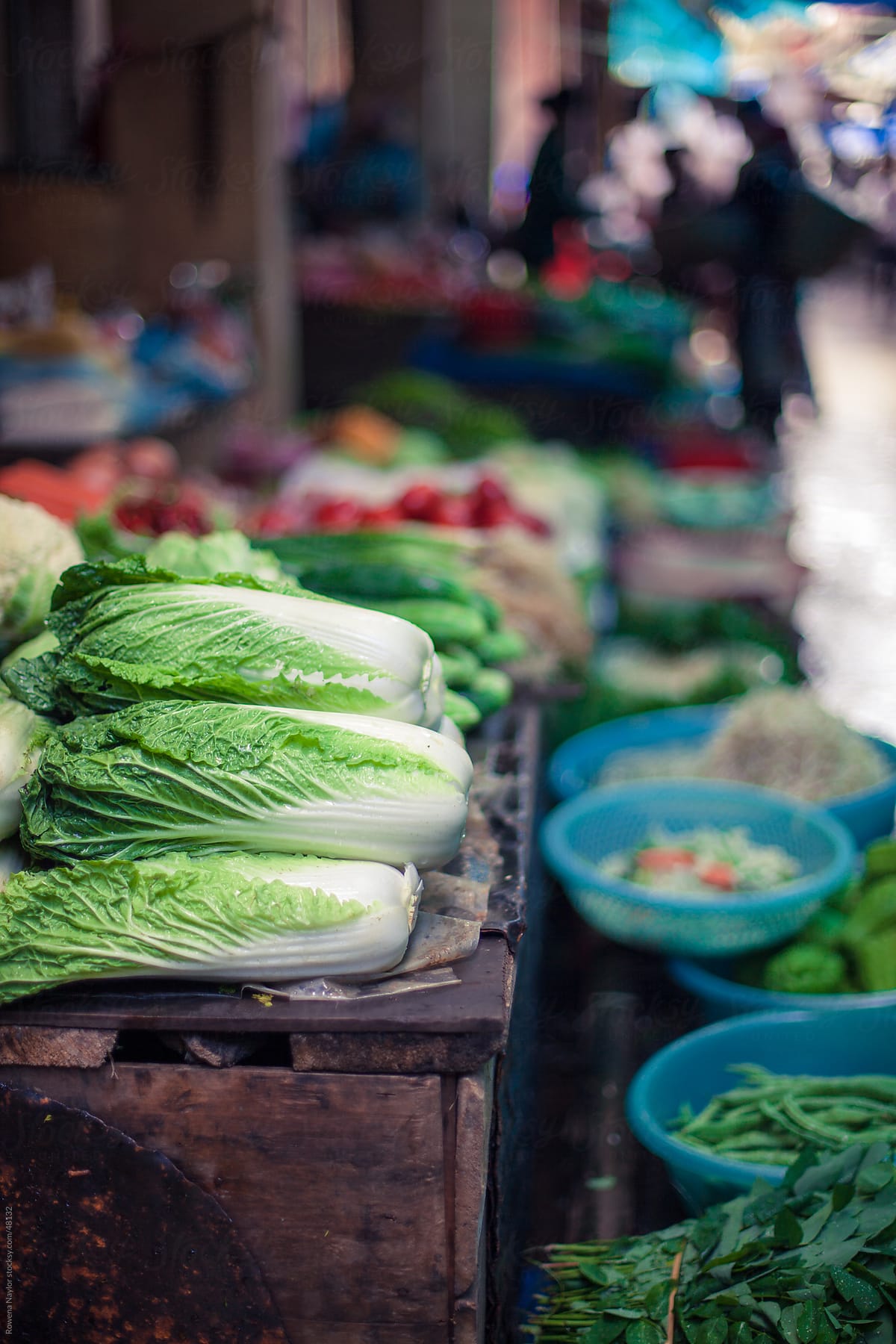 Chinese Cabbage for sale at ethnic market