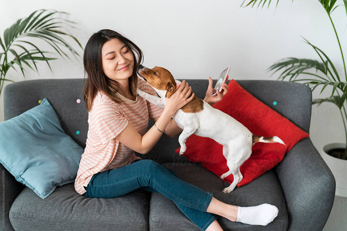 Smiling Asian woman cuddling purebred dog on couch