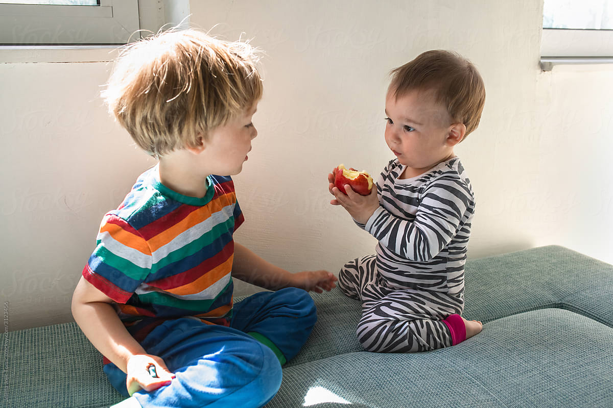 Two toddler brothers play at home