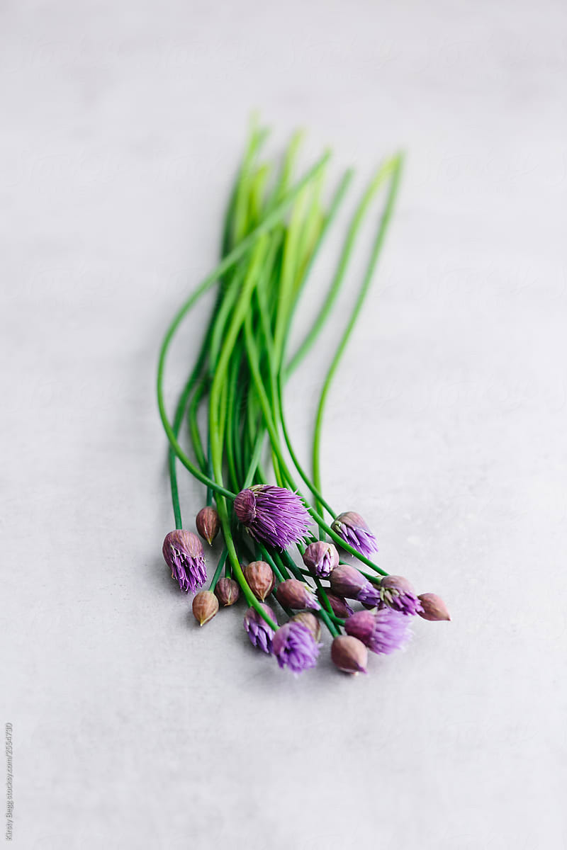Freshly cut chives with purple flower heads